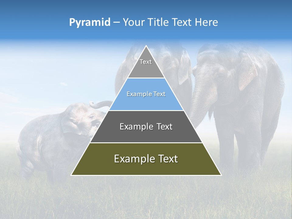 Elefantenbaby Liebe Lieb PowerPoint Template