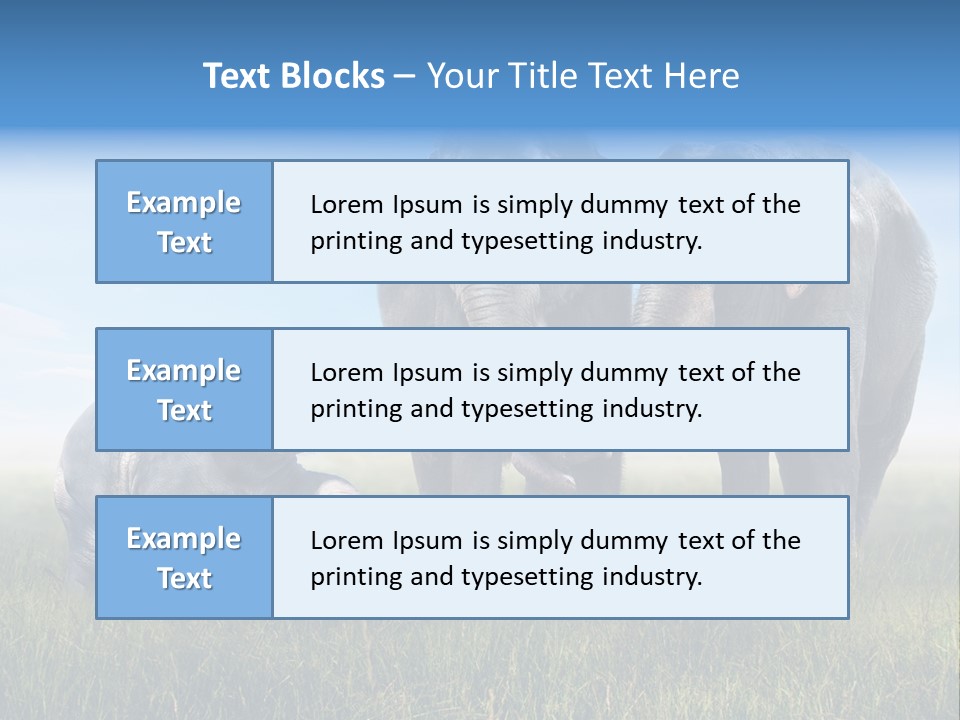 Elefantenbaby Liebe Lieb PowerPoint Template