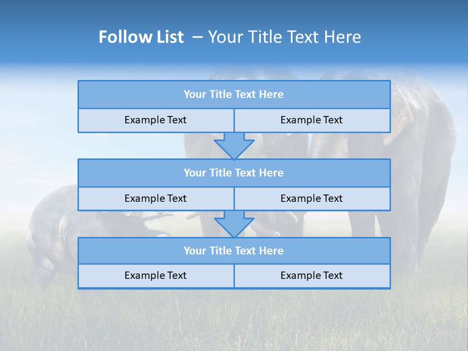 Elefantenbaby Liebe Lieb PowerPoint Template