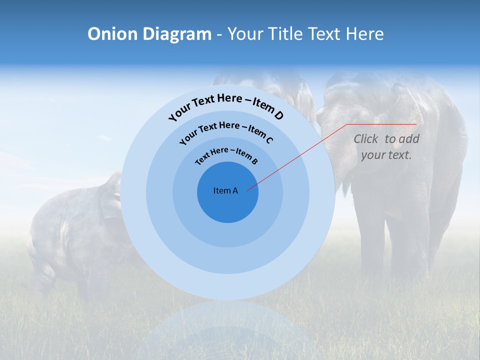 Elefantenbaby Liebe Lieb PowerPoint Template