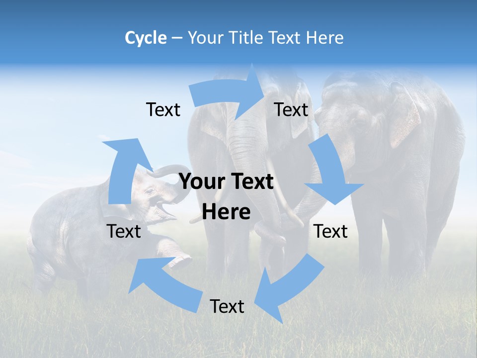 Elefantenbaby Liebe Lieb PowerPoint Template