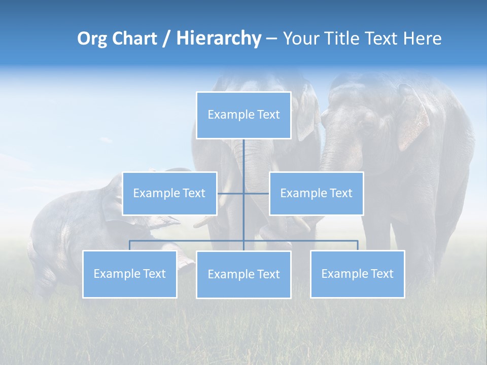 Elefantenbaby Liebe Lieb PowerPoint Template