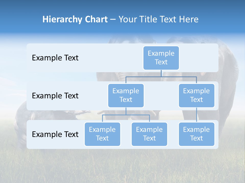 Elefantenbaby Liebe Lieb PowerPoint Template