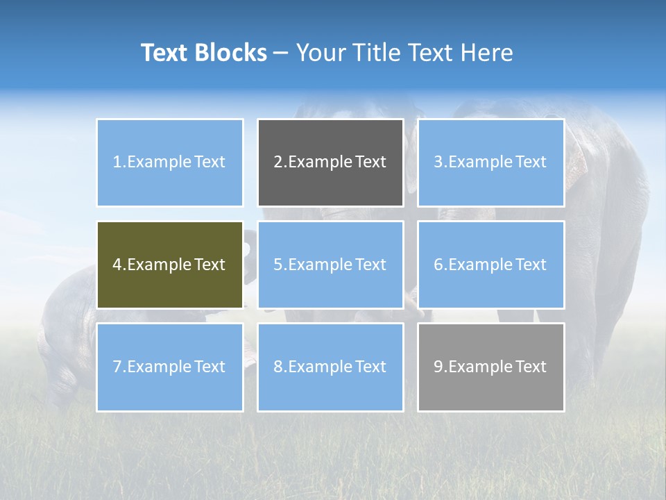Elefantenbaby Liebe Lieb PowerPoint Template
