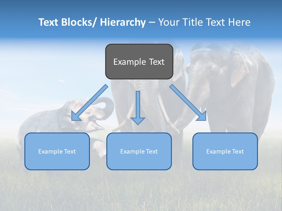 Elefantenbaby Liebe Lieb PowerPoint Template