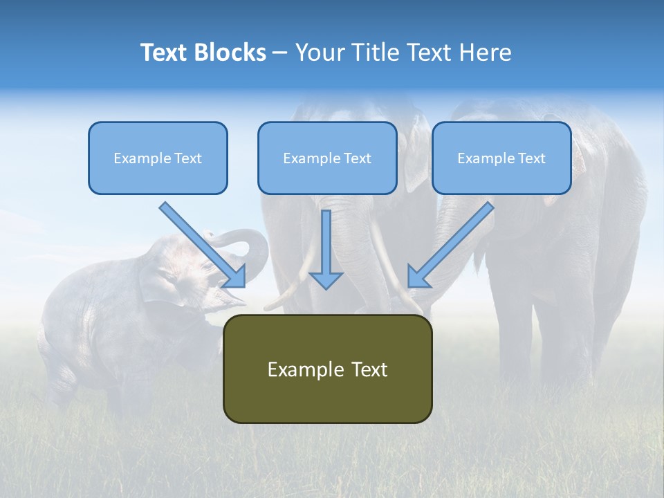 Elefantenbaby Liebe Lieb PowerPoint Template