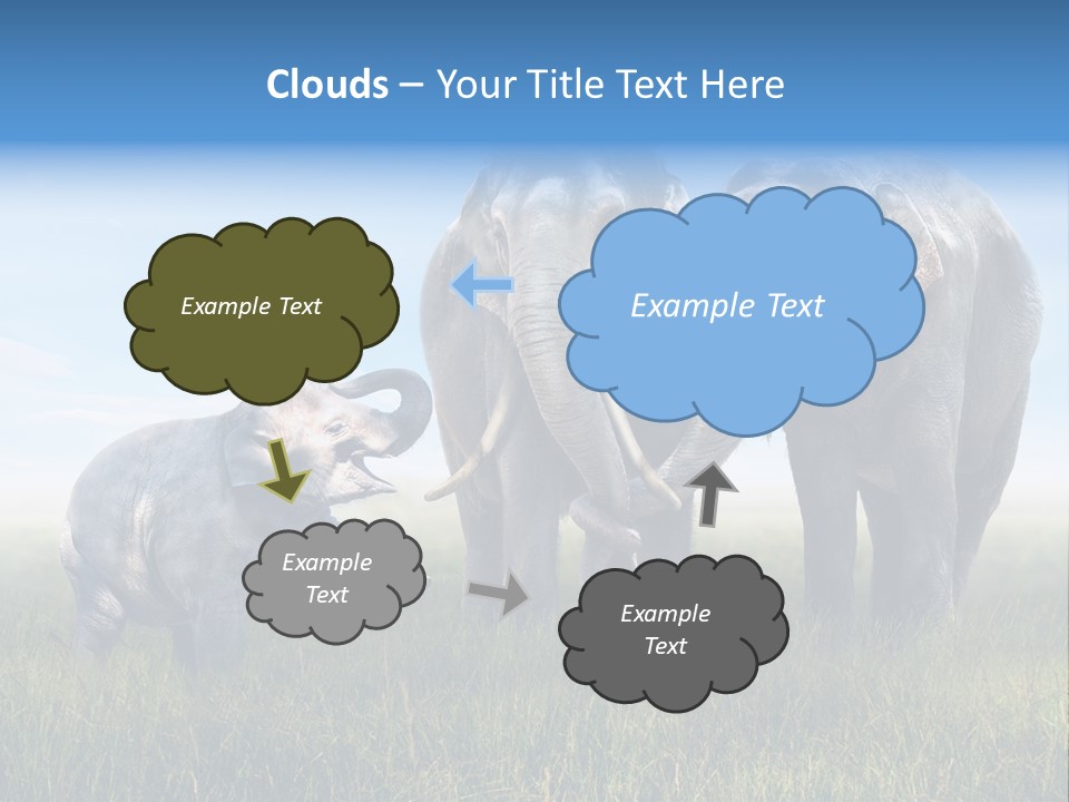 Elefantenbaby Liebe Lieb PowerPoint Template