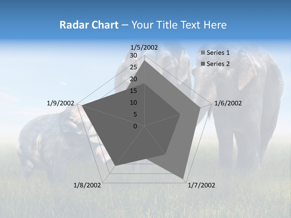 Elefantenbaby Liebe Lieb PowerPoint Template