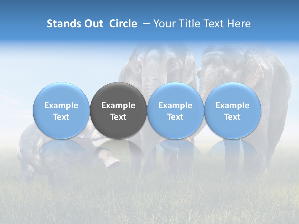 Elefantenbaby Liebe Lieb PowerPoint Template