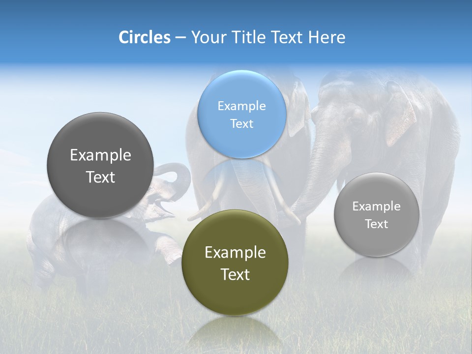 Elefantenbaby Liebe Lieb PowerPoint Template