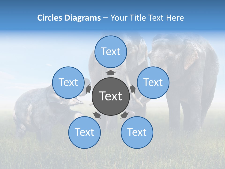 Elefantenbaby Liebe Lieb PowerPoint Template