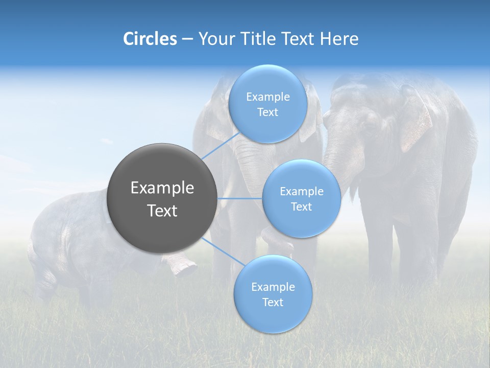 Elefantenbaby Liebe Lieb PowerPoint Template