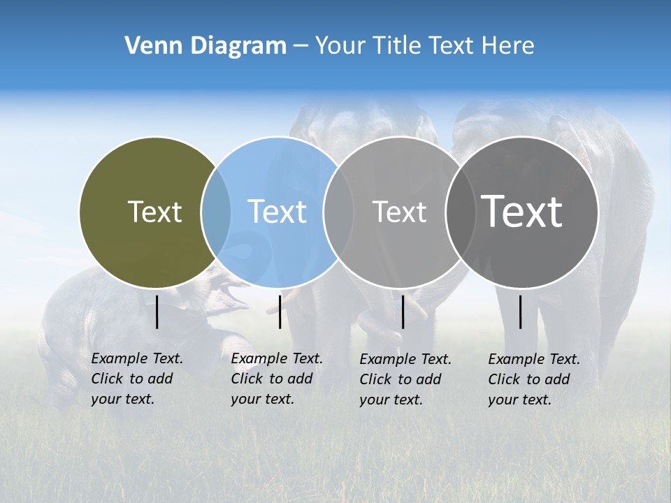 Elefantenbaby Liebe Lieb PowerPoint Template