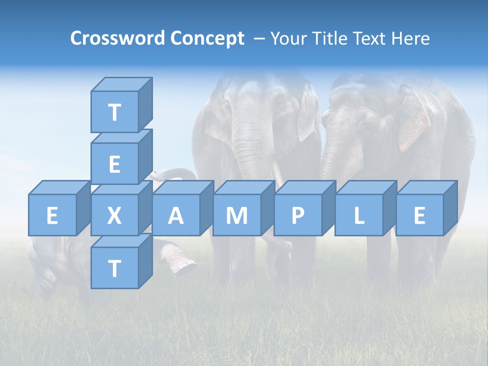 Elefantenbaby Liebe Lieb PowerPoint Template