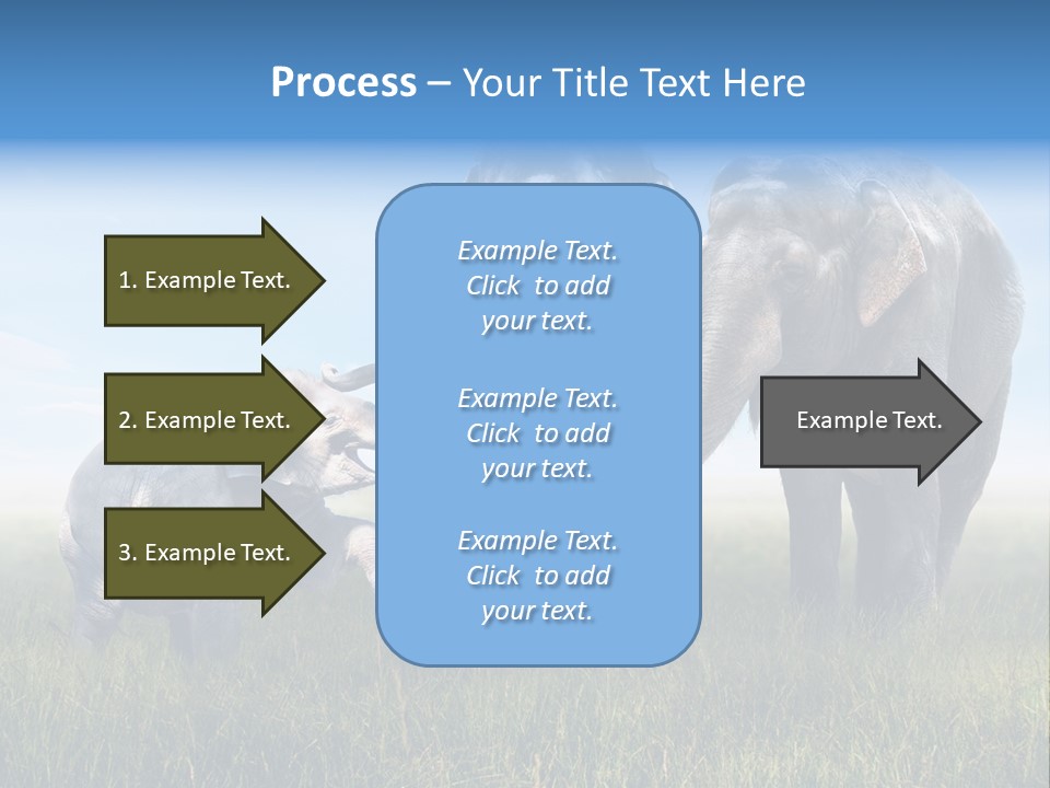 Elefantenbaby Liebe Lieb PowerPoint Template