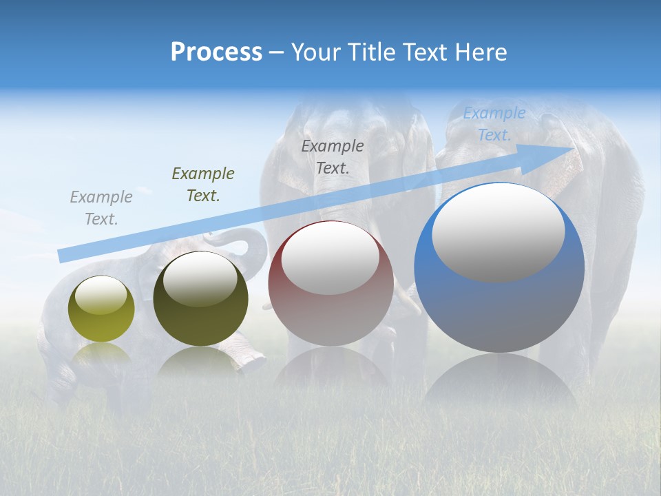 Elefantenbaby Liebe Lieb PowerPoint Template