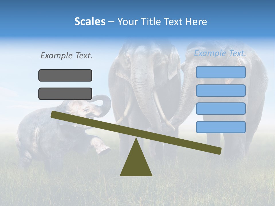 Elefantenbaby Liebe Lieb PowerPoint Template