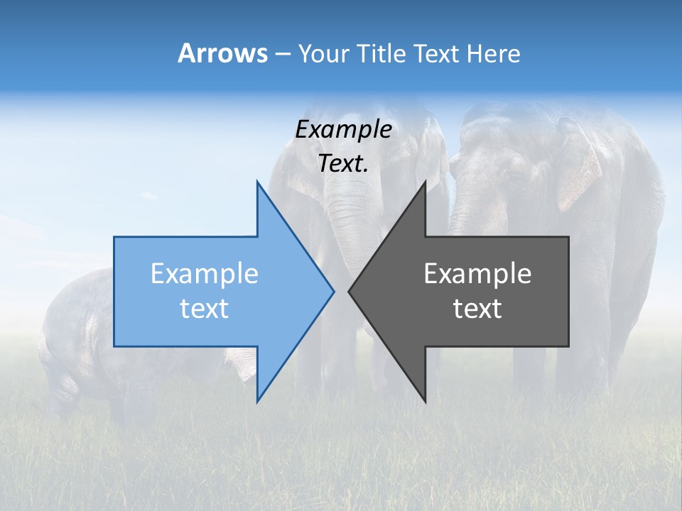 Elefantenbaby Liebe Lieb PowerPoint Template