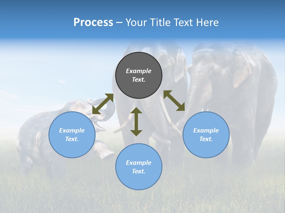 Elefantenbaby Liebe Lieb PowerPoint Template