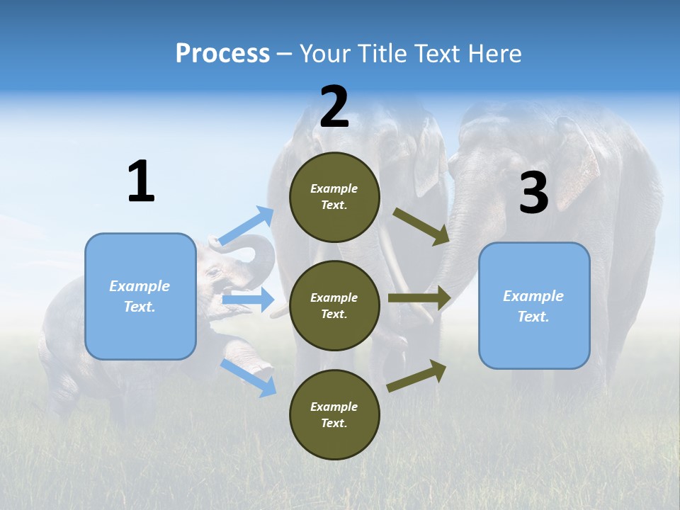 Elefantenbaby Liebe Lieb PowerPoint Template