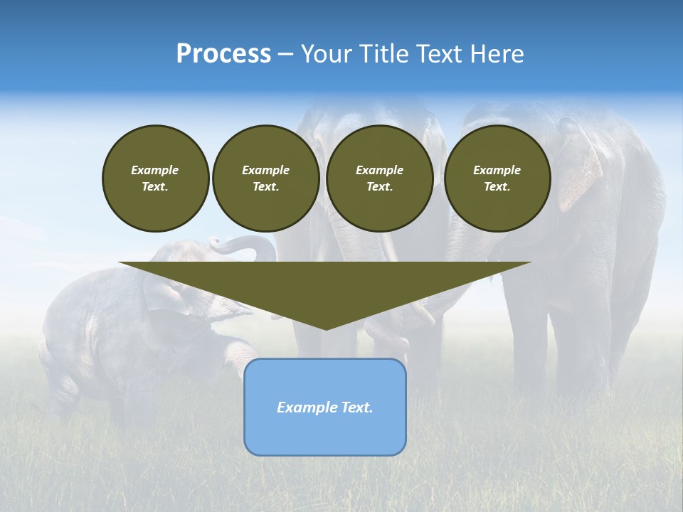 Elefantenbaby Liebe Lieb PowerPoint Template
