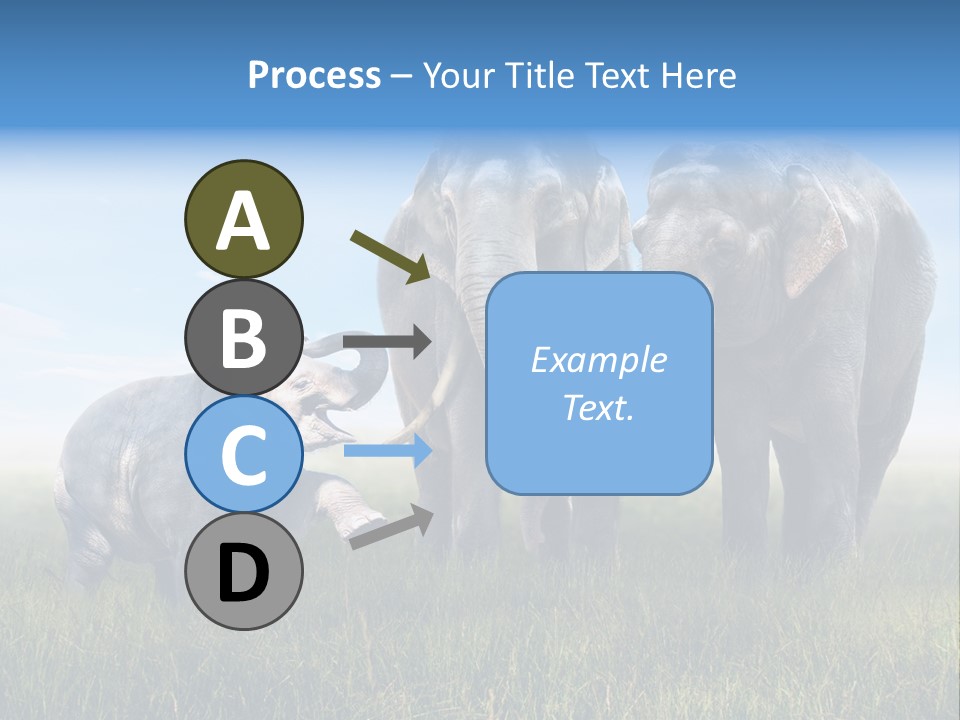 Elefantenbaby Liebe Lieb PowerPoint Template