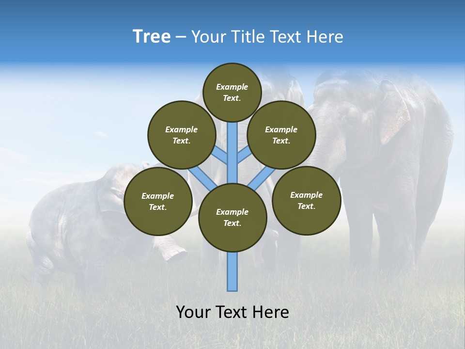 Elefantenbaby Liebe Lieb PowerPoint Template