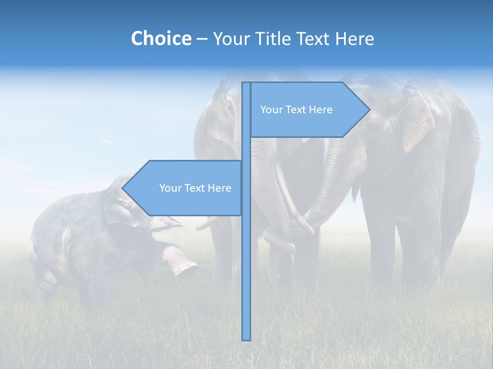 Elefantenbaby Liebe Lieb PowerPoint Template