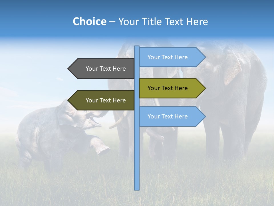 Elefantenbaby Liebe Lieb PowerPoint Template