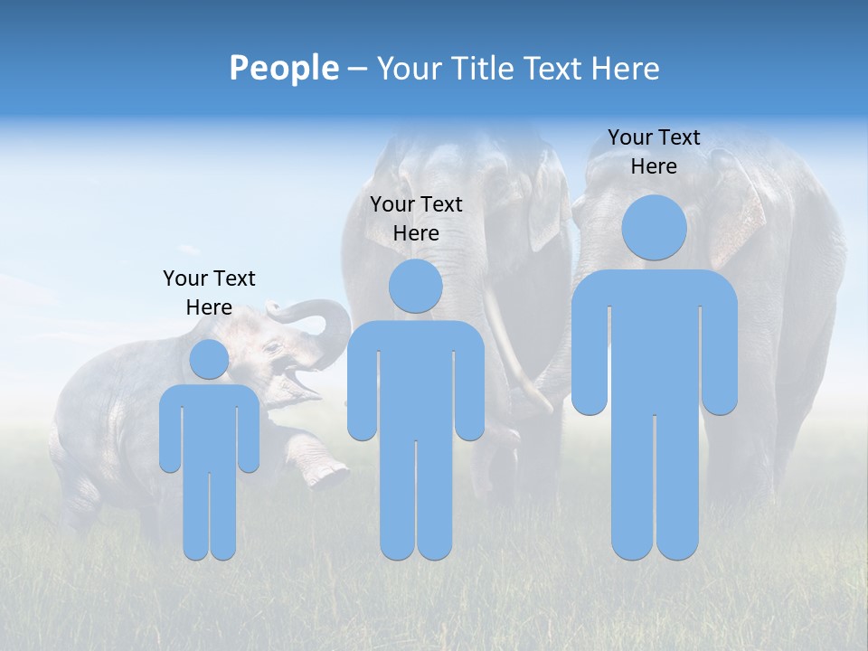 Elefantenbaby Liebe Lieb PowerPoint Template