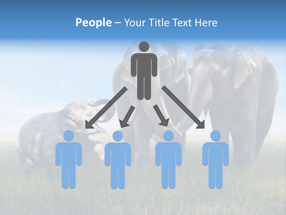 Elefantenbaby Liebe Lieb PowerPoint Template