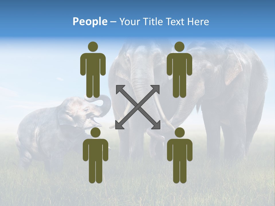 Elefantenbaby Liebe Lieb PowerPoint Template