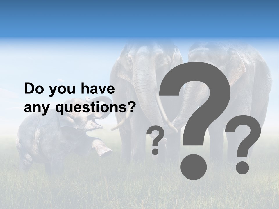 Elefantenbaby Liebe Lieb PowerPoint Template