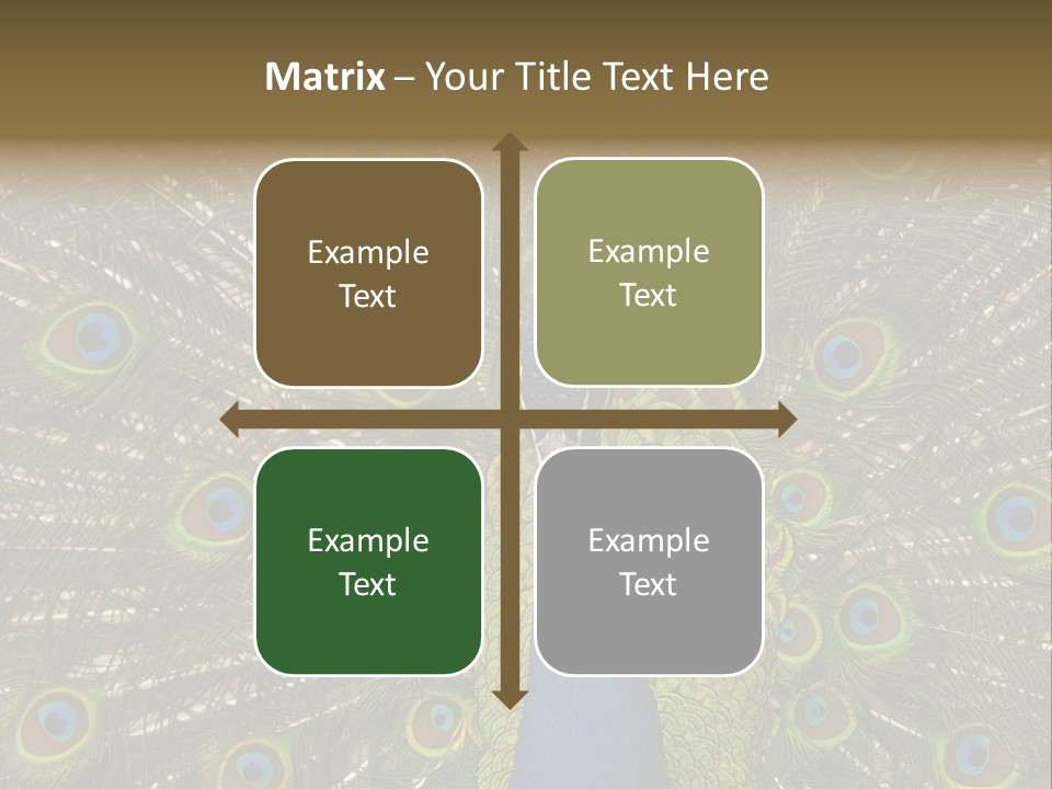 Indian Spotted Colourful PowerPoint Template