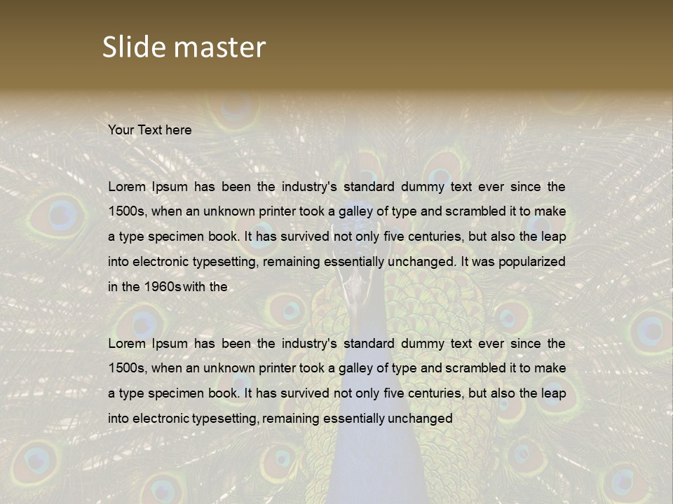 Indian Spotted Colourful PowerPoint Template