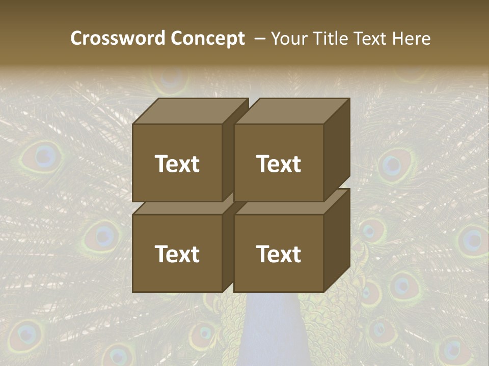 Indian Spotted Colourful PowerPoint Template