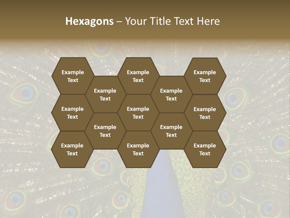 Indian Spotted Colourful PowerPoint Template