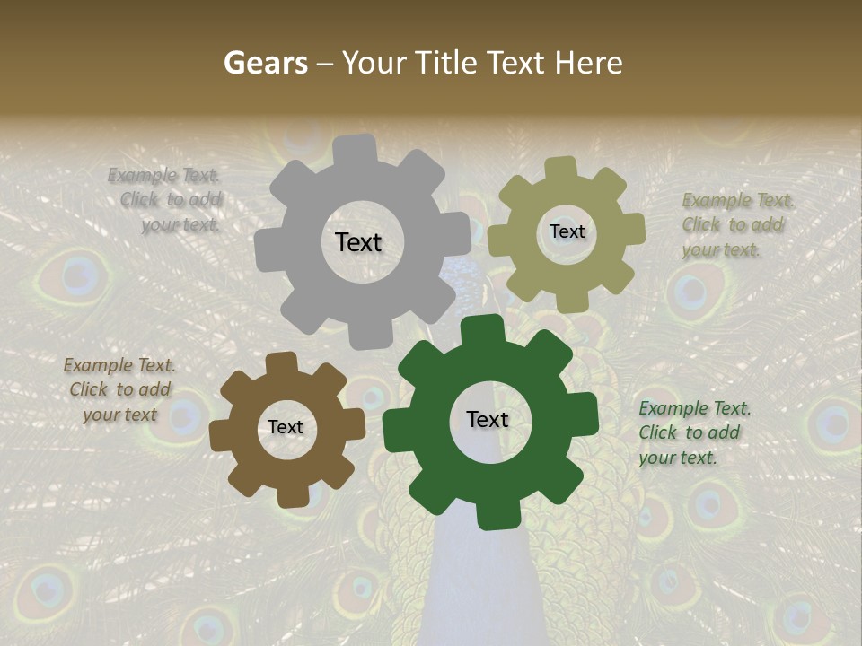 Indian Spotted Colourful PowerPoint Template