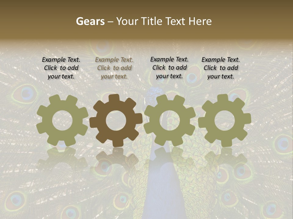 Indian Spotted Colourful PowerPoint Template