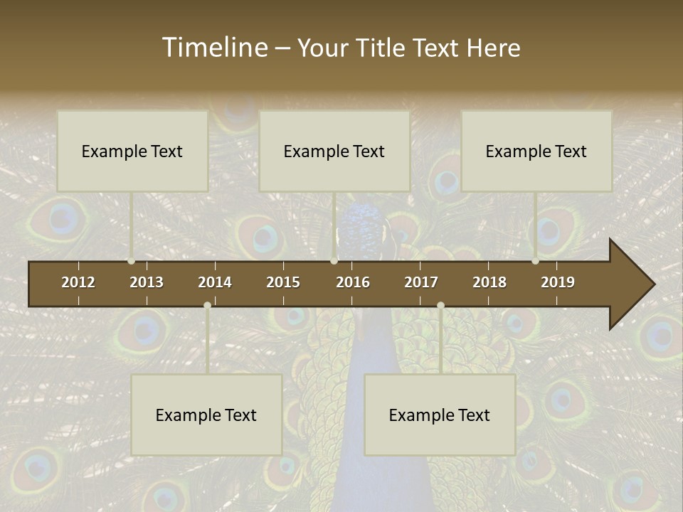 Indian Spotted Colourful PowerPoint Template