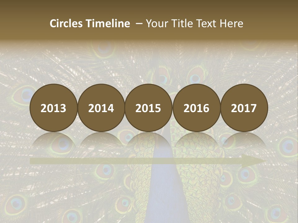 Indian Spotted Colourful PowerPoint Template