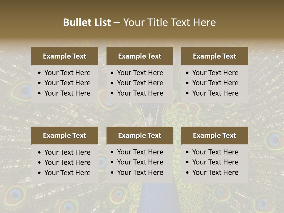 Indian Spotted Colourful PowerPoint Template