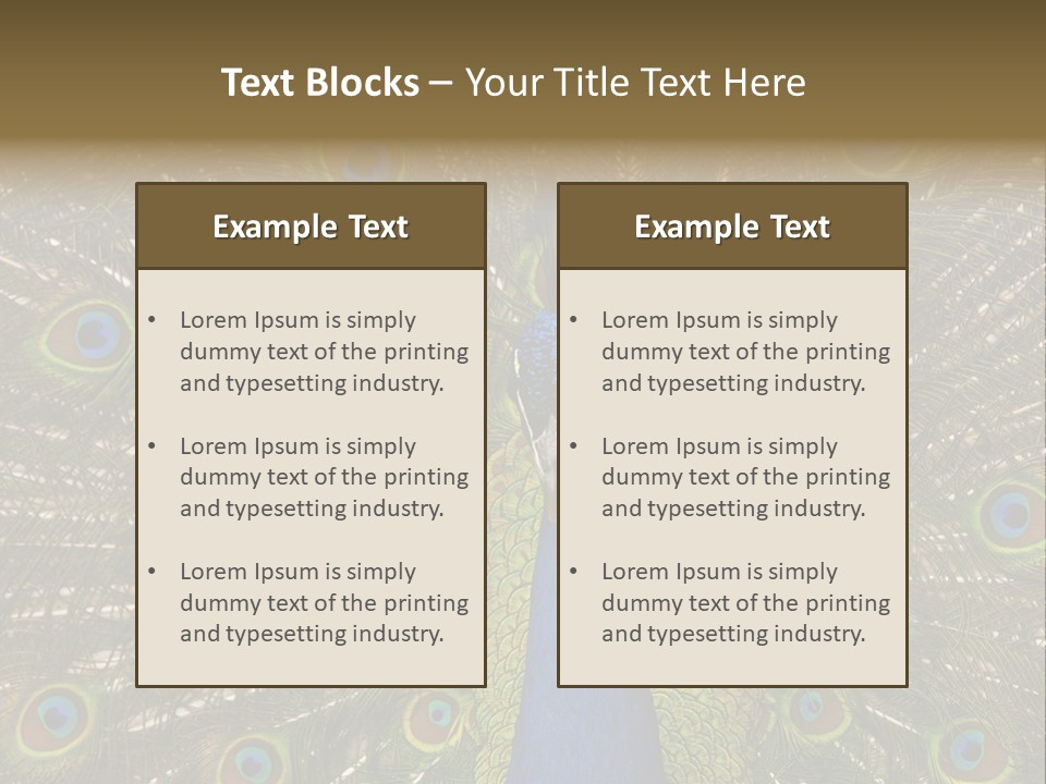 Indian Spotted Colourful PowerPoint Template