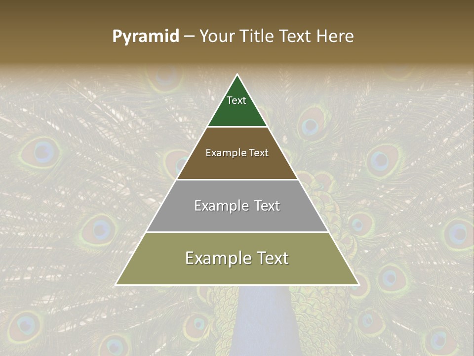 Indian Spotted Colourful PowerPoint Template