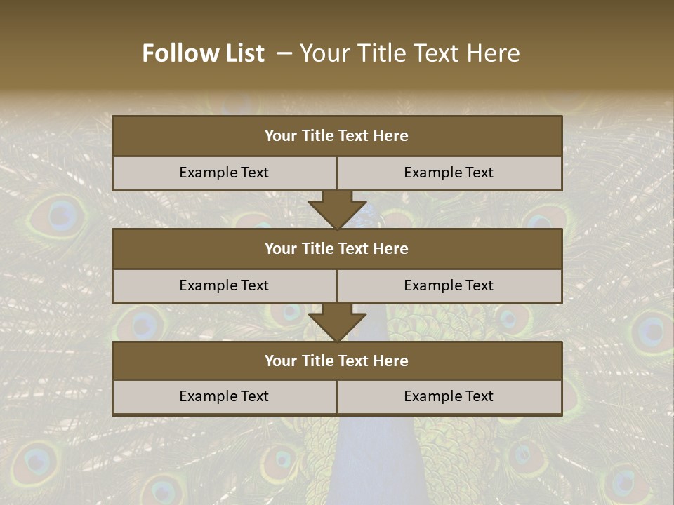 Indian Spotted Colourful PowerPoint Template