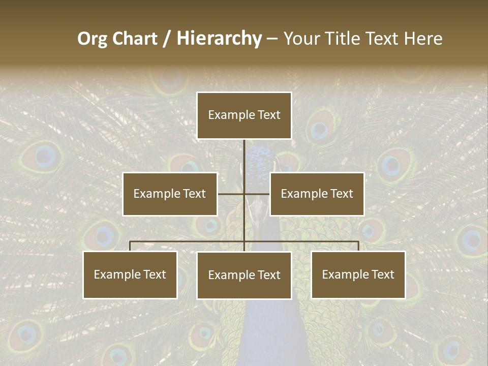 Indian Spotted Colourful PowerPoint Template