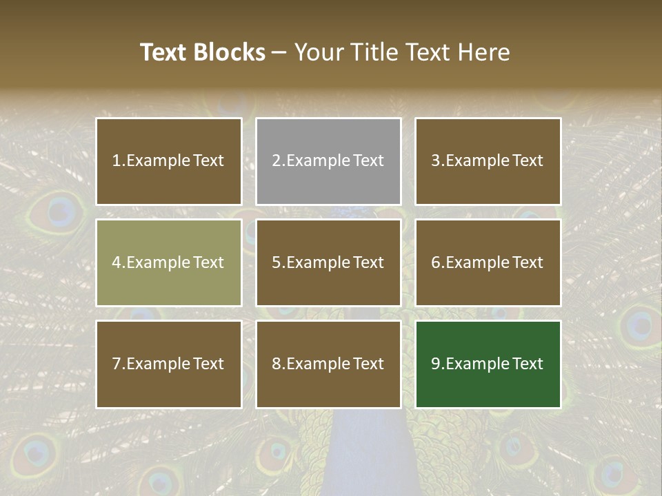 Indian Spotted Colourful PowerPoint Template