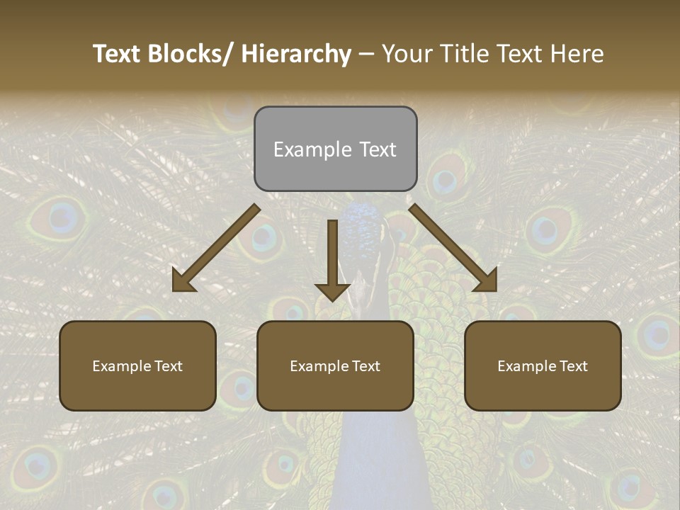 Indian Spotted Colourful PowerPoint Template