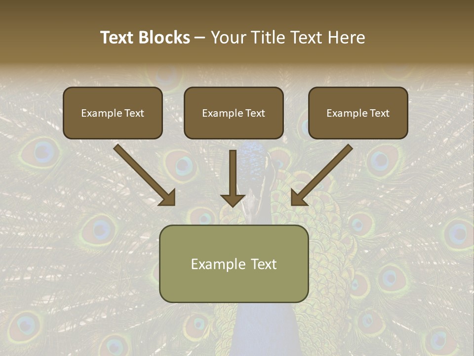 Indian Spotted Colourful PowerPoint Template