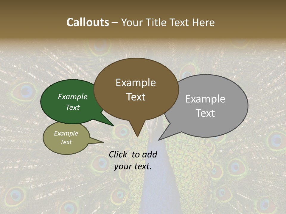 Indian Spotted Colourful PowerPoint Template